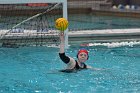 WWPolo vs CC  Wheaton College Women’s Water Polo vs Connecticut College. - Photo By: KEITH NORDSTROM : Wheaton, water polo